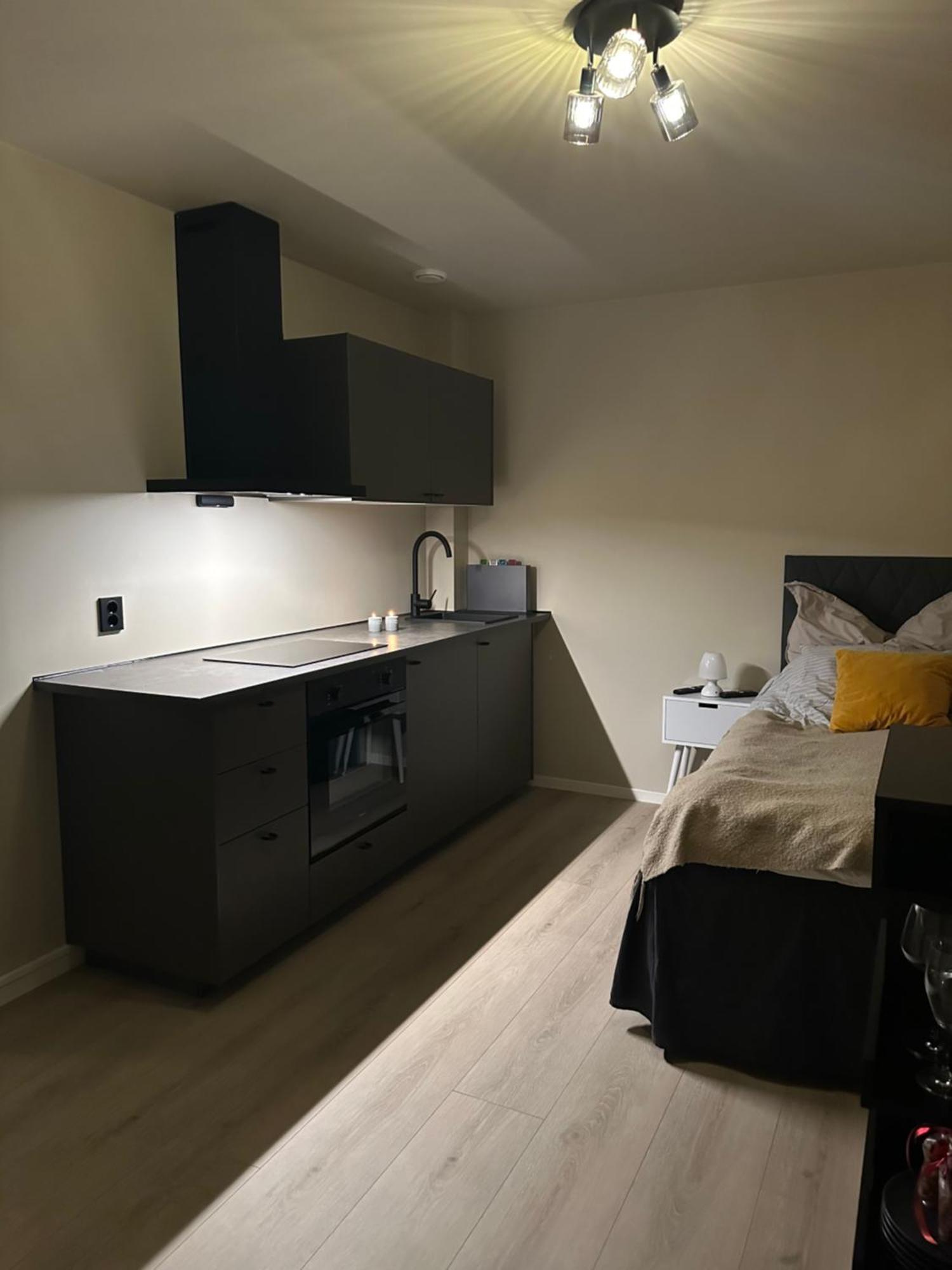 Northern Lights Studio Тромсьо Екстериор снимка